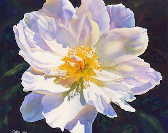 White Peony Art Watercolor Painting Print by Cathy Hillegas, 8x8 peony print, square watercolor peony, watercolor flowers