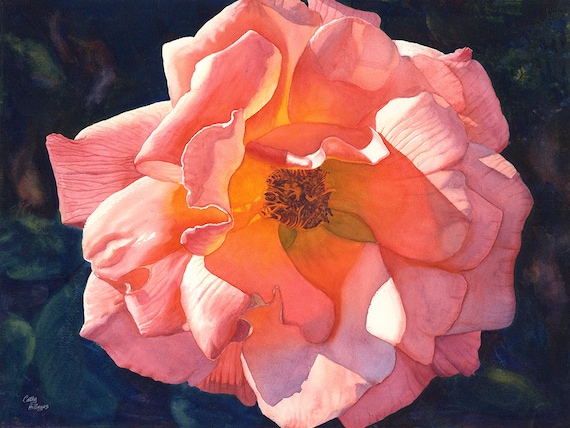 Peach Rose Original Watercolor Painting by Cathy Hillegas, 22x30