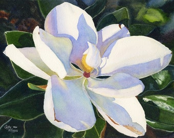 Magnolia Watercolor Painting Print by Cathy Hillegas, 11x14 watercolor print, white floral, magnolia wall art