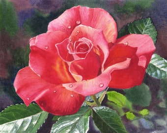 Red Rose Watercolor Painting Print by Cathy Hillegas, 8x10 watercolor flowers, watercolor roses, watercolor print, gift for her, Rose gift