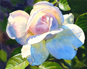 White Rose Watercolor Painting Print by Cathy Hillegas, 16x22 watercolor flowers, rainbow colors art