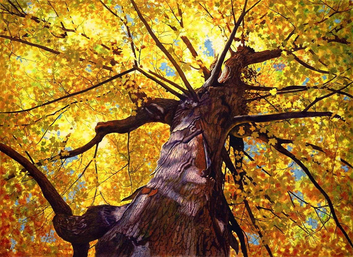 Golden Tree Watercolor Painting Print 8x10 by Cathy Hillegas Etsy