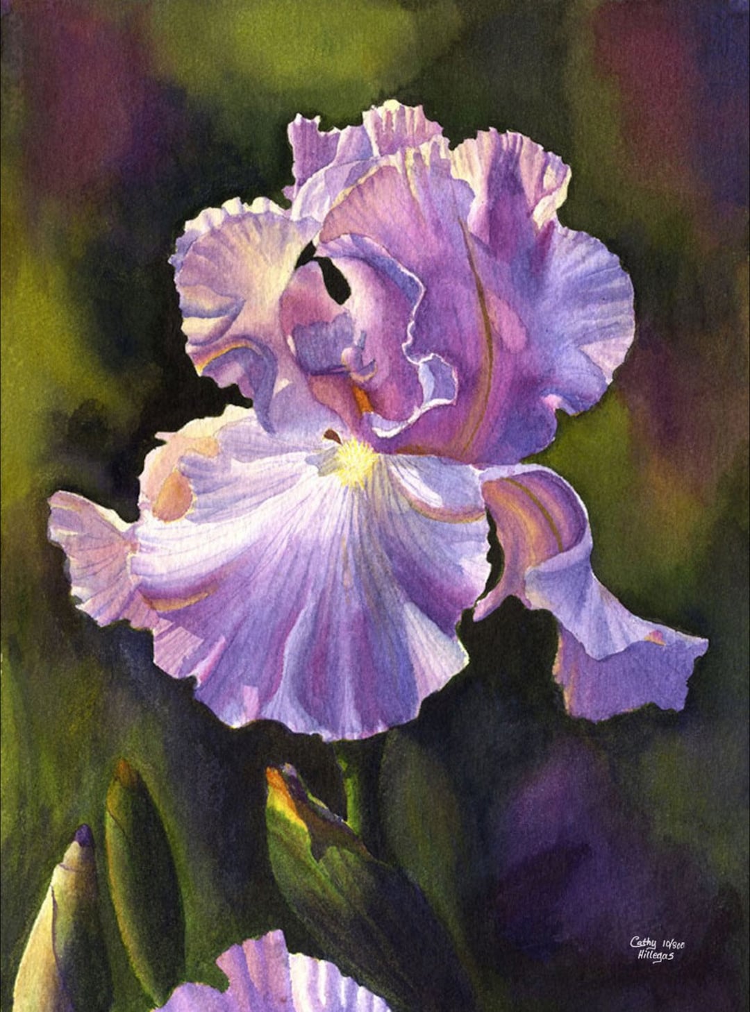 Purple Iris Art Watercolor Painting Print by Cathy Hillegas, 11x14