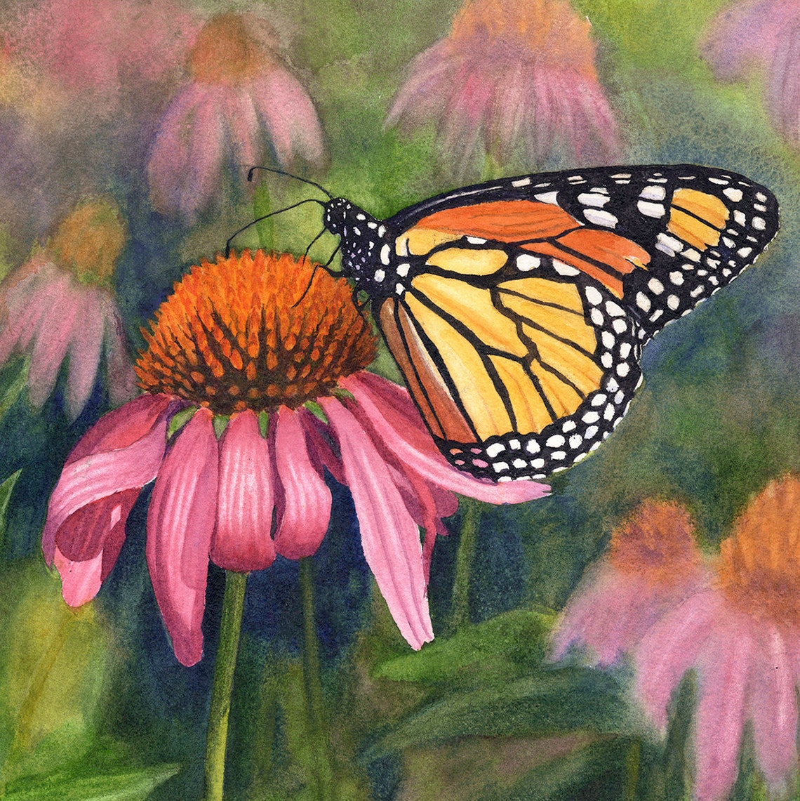 Monarch Butterfly Watercolor Painting Print by Cathy Hillegas, 12x16 ...