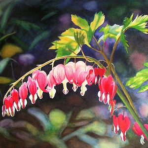 Bleeding Heart watercolor painting print by Cathy Hillegas, 8x10 watercolor print, Christmas gifts for women