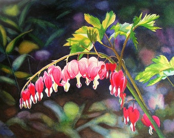 Bleeding Heart watercolor painting print by Cathy Hillegas, 8x10 watercolor print, Valentines Day gifts for women