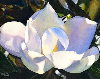 White Magnolia Watercolor Painting Print by Cathy Hillegas, 11x14 magnolia watercolor print