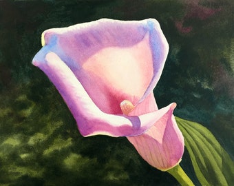 Pink Calla Lily Watercolor Painting Print by Cathy Hillegas, 8x10 art print watercolor, calla lily home decor Gift