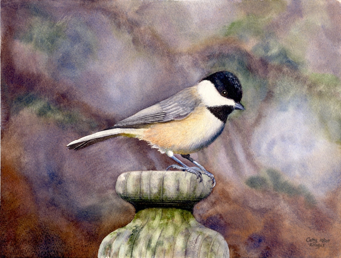 Black Capped Chickadee Watercolor Painting Print by Cathy Hillegas ...