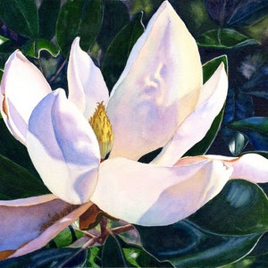 White Magnolia Watercolor Painting print by Cathy Hillegas, 12x16, floral watercolor art print, magnolia watercolor art, white blue purple