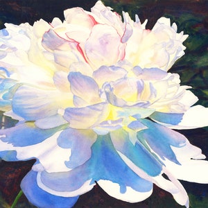White Peony Watercolor Painting Print by Cathy Hillegas, 16x21 peony art, watercolor peony print, Valentines Day gift, white blue flowers