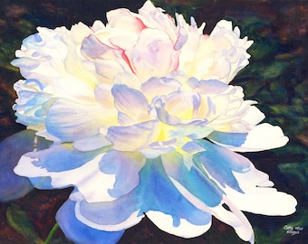 White Peony Watercolor Painting Print by Cathy Hillegas, Blue Floral Art (8x10)
