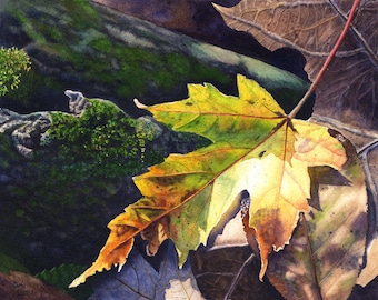 Autumn Leaf Art Watercolor Painting Print by Cathy Hillegas, 11x14 autumn art, watercolor print, maple leaf art, woodland art, yellow