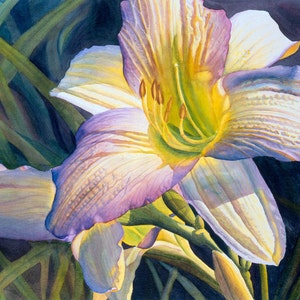 Daylily art watercolor painting print by Cathy Hillegas, 8x10 floral watercolor print, watercolor daylily home decor