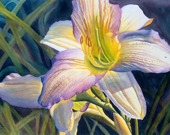 Daylily art watercolor painting print by Cathy Hillegas, 8x10, watercolor print, floral, flowers, white, cream, yellow, purple, blue green