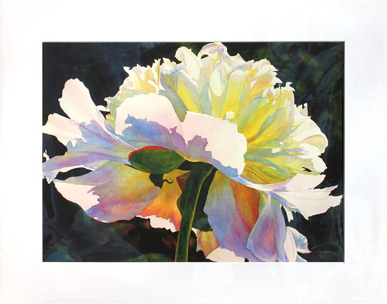 White Peony Art Watercolor Painting Print by Cathy Hillegas, flower watercolor, 12x16 watercolor print, peony wall art, gifts for her matted in white