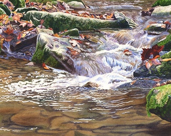 Waterfall Watercolor Painting Print by Cathy Hillegas, 12x16 art print, autumn leaves creek watercolor print, mountain stream, mossy rocks