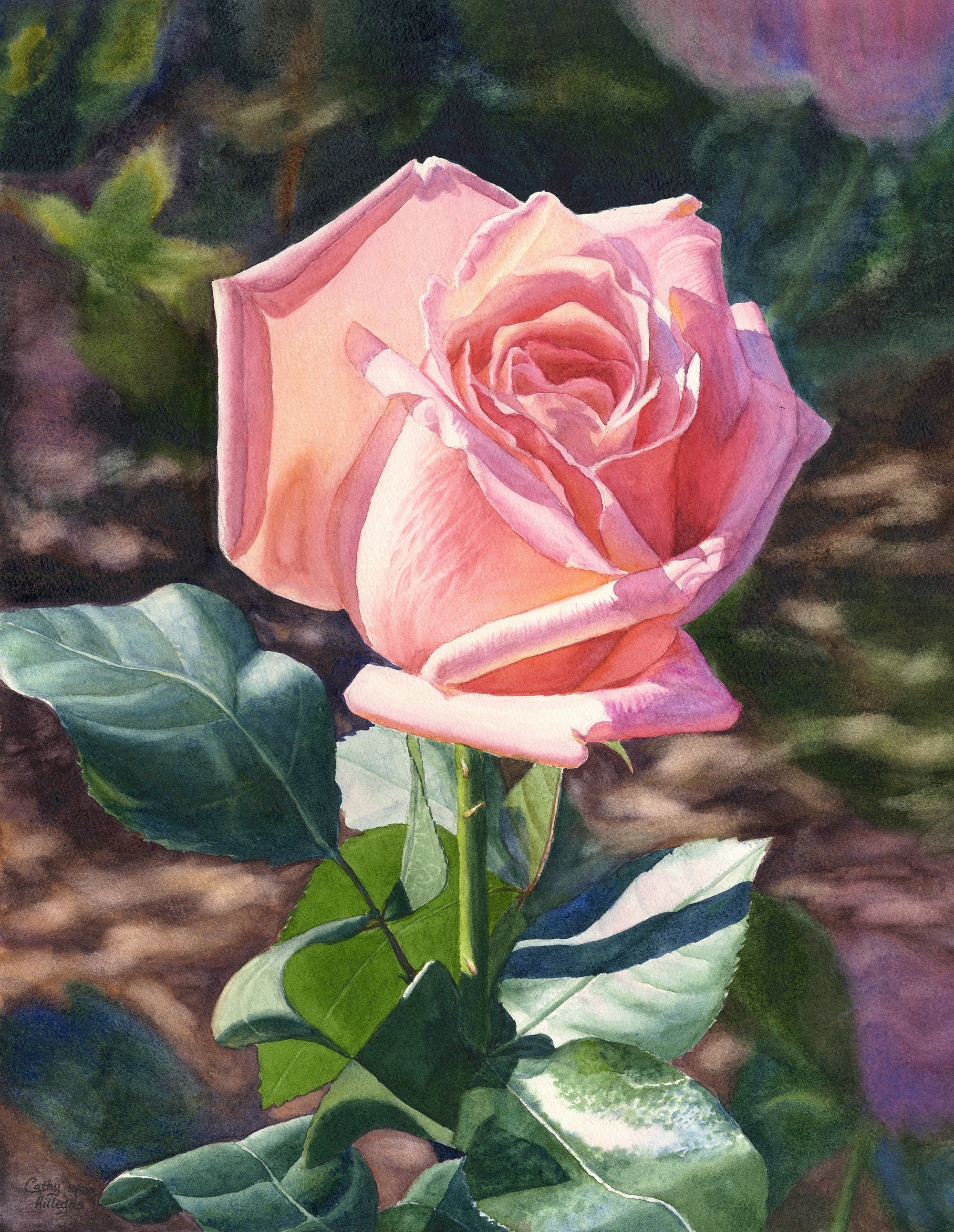 Peach Pink Rose Watercolor Painting Print by Cathy Hillegas, 12x16