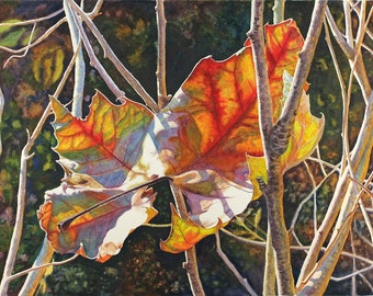 Feuilles d’automne Aquarelle d’art Impression d’une peinture originale de Cathy HIllegas, 16x22, sycomore, orange, rouge, jaune, vert, bleu, violet