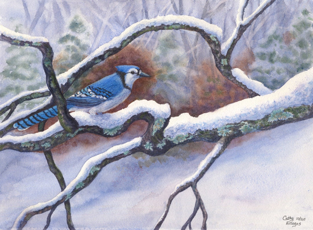 Blue Jay Snow Watercolor Painting Print by Cathy Hillegas - Etsy