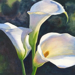 Calla Lilies Watercolor Painting Print by Cathy Hillegas, 8x10 calla lily wall art, Mothers Day gift