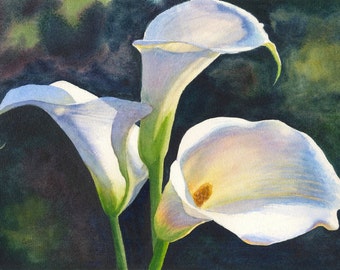 Calla Lilies Watercolor Painting Print by Cathy Hillegas, 8x10, floral watercolor, lily wall art, gift for her