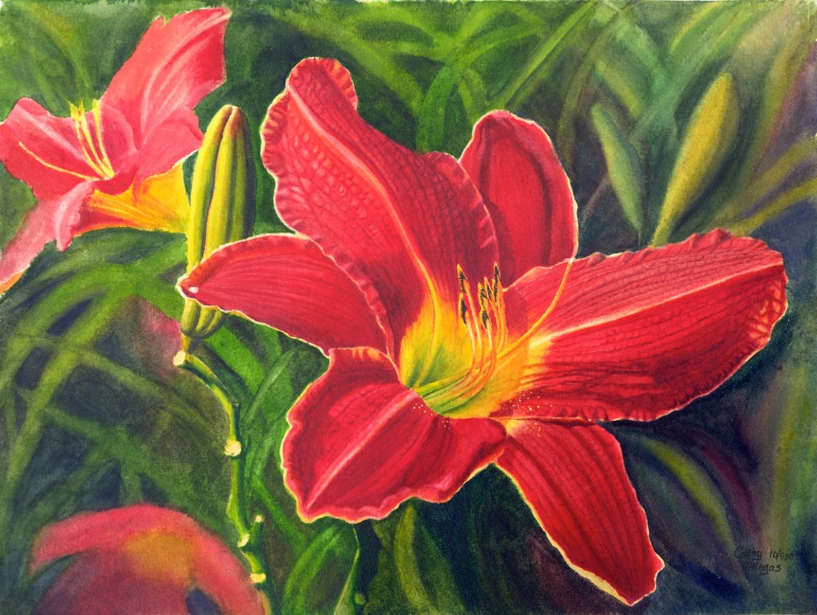 Red Daylily Art Watercolor Painting Print by Cathy Hillegas, 16x21, Red