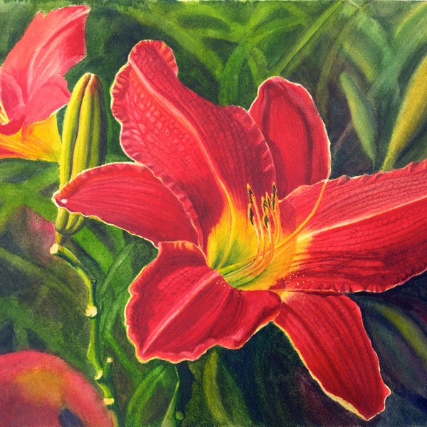 Red Daylily Art Watercolor Painting Print by Cathy HIllegas, 8x10 watercolor flowers, watercolor print, Mothers Day gift, daylily gift