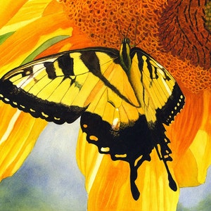 Yellow Butterfly Sunflower Watercolor Painting Print by Cathy Hillegas, 8x10 Tiger Swallowtail Print, Butterfly home decor, gifts for her image 2