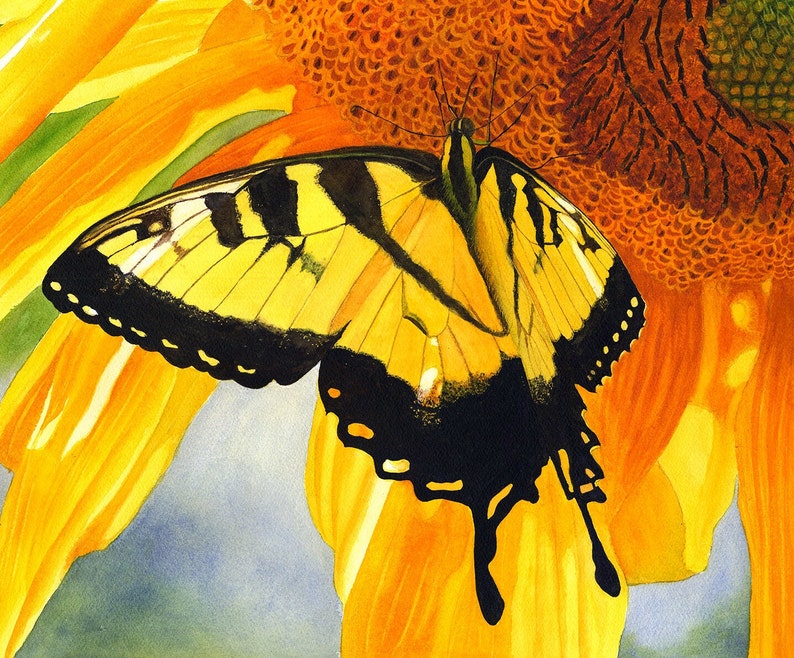 Yellow Butterfly Sunflower Watercolor Painting Print by Cathy Hillegas, 8x10 Tiger Swallowtail Print, Butterfly home decor, gifts for her image 2