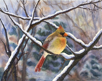 Cardinal Winter Watercolor Painting  Print by Cathy Hillegas, 8x10 print, watercolor snow, watercolor cardinal, winter landscape print