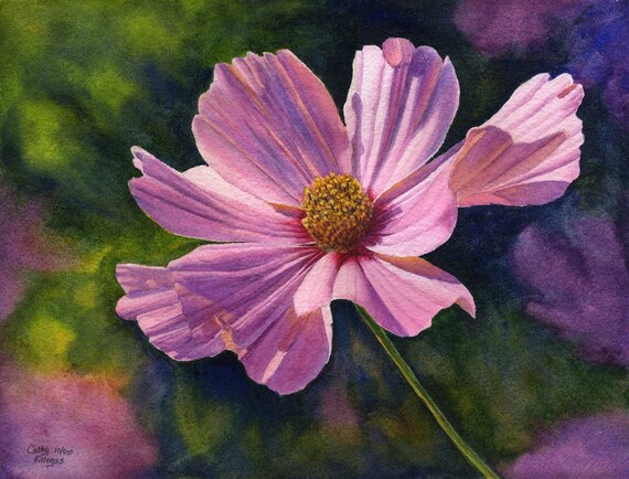 class demo painting Cosmos 12 Pink Cosmos Art 11x14 Watercolor Original Painting by Cathy Hillegas
