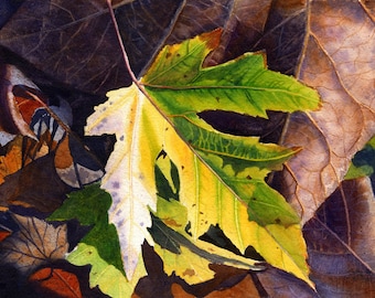 Yellow Leaf Art Watercolor Painting Print by Cathy Hillegas, 8x10,watercolor print,  autumn leaves, yellow, gold, green, brown, purple, blue