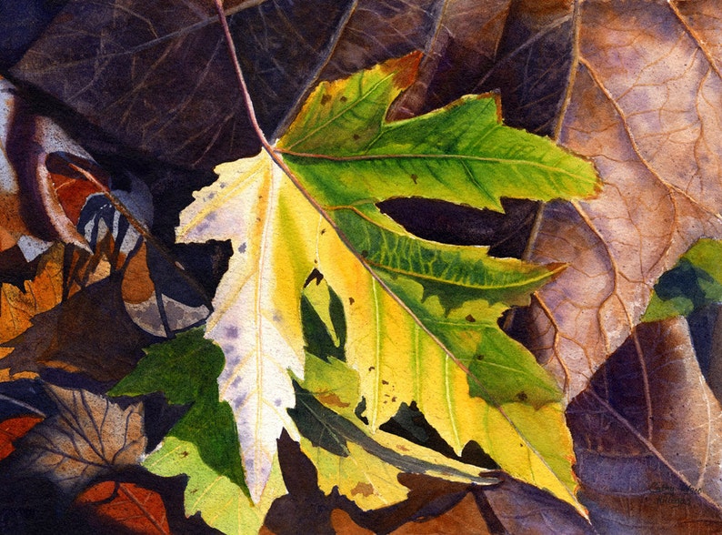 Autumn leaf art watercolor painting print by Cathy Hillegas, 11x14, maple leaves, yellow leaf, green yellow, purple, blue, brown image 1