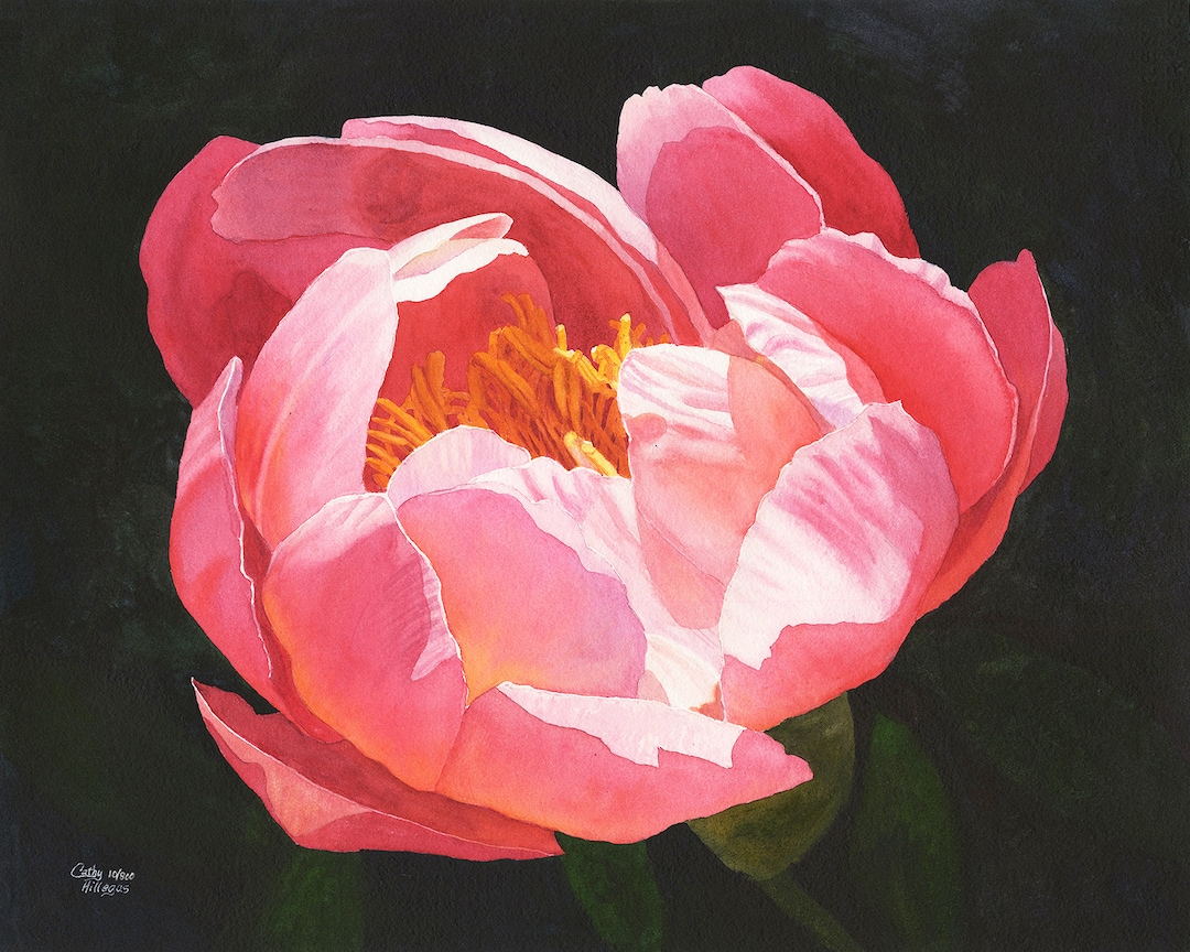 Hot Pink Peony Watercolor Painting Print by Cathy Hillegas, Pink Peony ...