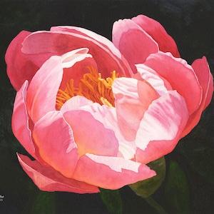 Hot Pink Peony Watercolor Painting Print by Cathy Hillegas, pink peony home decor, Gift for women, gift for gardeners