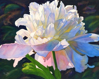 White Pink Peony Watercolor Painting Print by Cathy Hillegas, 16x21 watercolor peony print, peony wall decor, gift for her