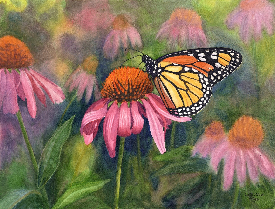 Monarch Butterfly Watercolor Painting, Purple Coneflower Art Print ...