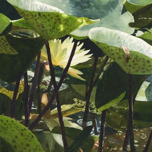 White Water Lily Watercolor Painting Print by Cathy Hillegas, vertical floral watercolor, waterlily home decor