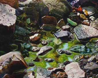 Creek Art Watercolor Painting Print by Cathy Hillegas, 12x16, watercolor print, As Above So Below, woodland art, water rocks green brown