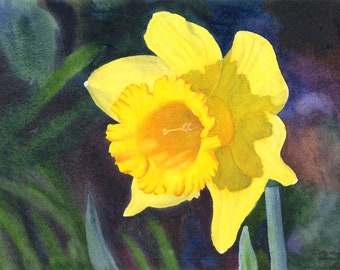 Daffodil Watercolor Painting Print by Cathy Hillegas, 11x14 watercolor flowers, yellow daffodil art, gift for mom