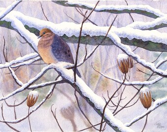 Mourning Dove Winter Watercolor Painting Print by Cathy Hillegas, 8x10 winter bird watercolor print, mourning dove snow art