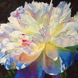 White Peony Watercolor Painting Print by Cathy Hillegas, 12x16 watercolor peony wall decor, Valentines day gift under 60