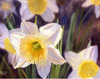 White Daffodil art watercolor painting print by Cathy Hillegas, 8x10 daffodil print, watercolor print, white flower painting