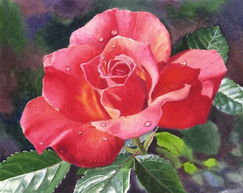 Red Rose Watercolor Painting Print by Cathy Hillegas, 11x14 watercolor flowers, watercolor roses, watercolor print