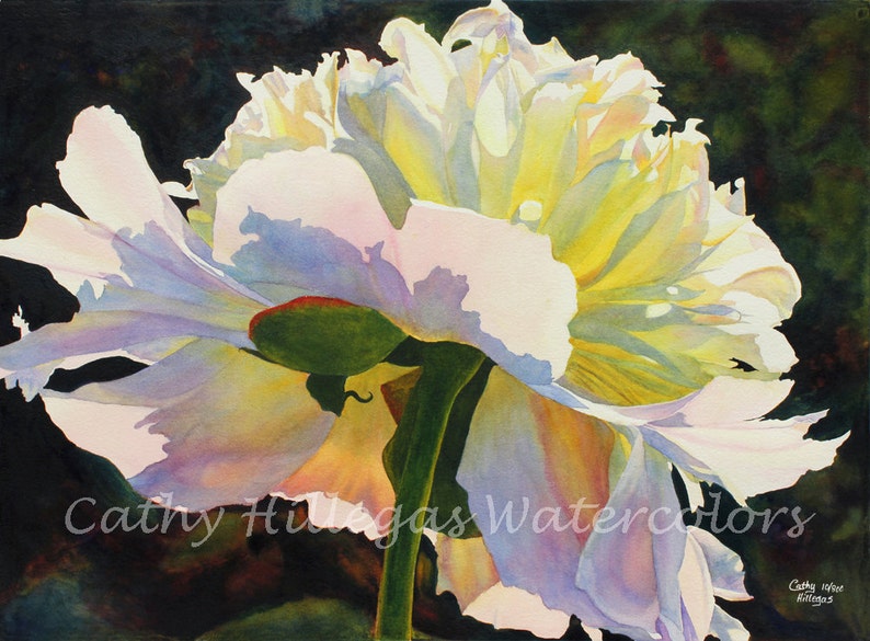 White Peony Art Watercolor Painting Print by Cathy Hillegas, flower watercolor, 12x16 watercolor print, peony wall art, gifts for her unmatted