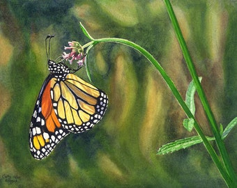 May include: A watercolor painting of a monarch butterfly with orange, black, and white wings perched on a pink flower with green leaves.