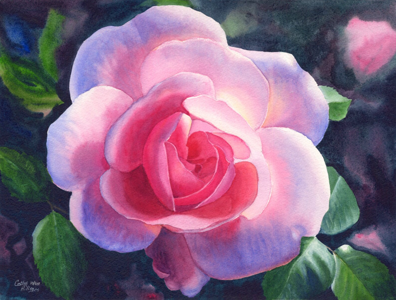 Pink Rose Art Watercolor Painting Print by Cathy Hillegas Etsy