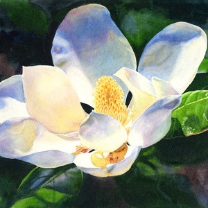 Magnolia Watercolor Painting Print by Cathy Hillegas, 8x10 magnolia art print, gift for women, magnolia gift, gift for her