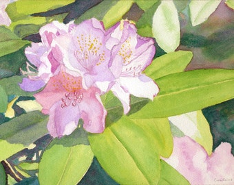 Rhododendron art watercolor painting print by Evalene Tarr, watercolor floral, spring flowers, watercolor print, pink, purple, blue, green